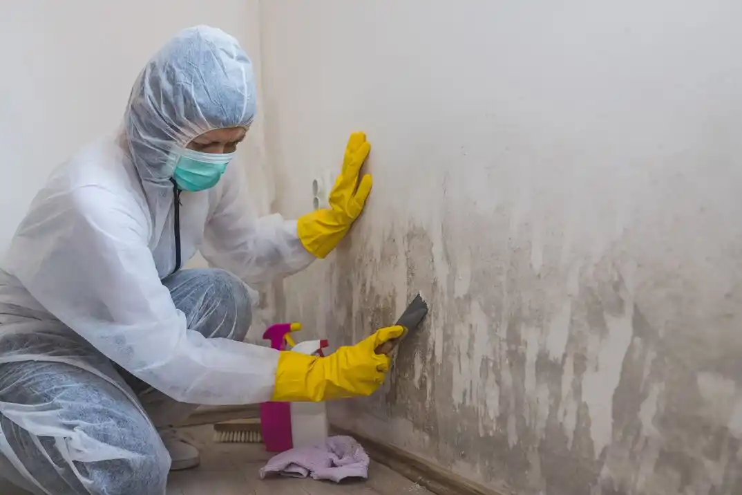 water damage restoration service Concordia